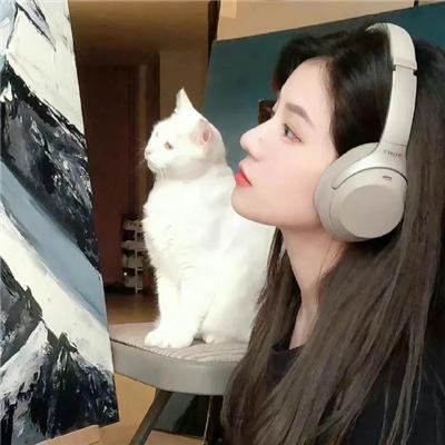 哈莉·奎茵第三季