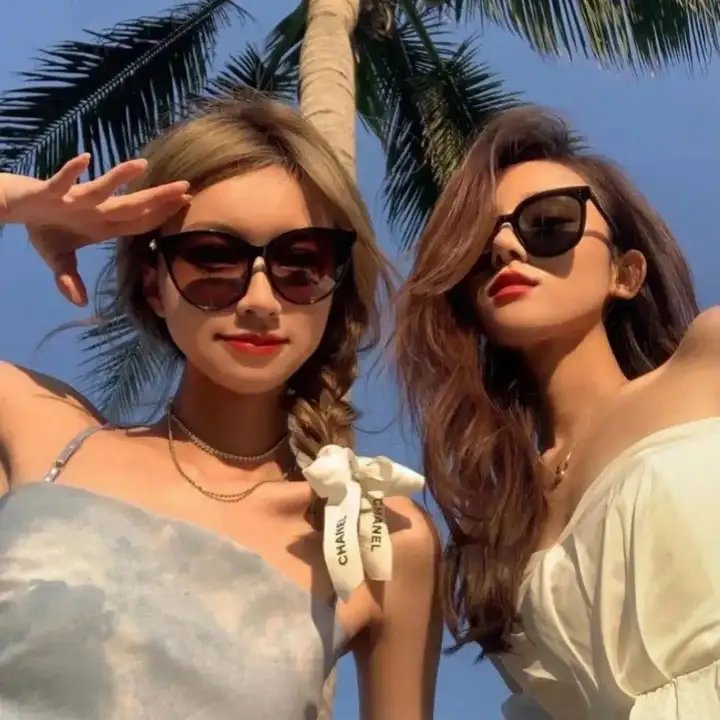 托梅斯的导盲犬